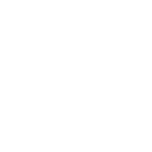 Logo Naturpur in weiss