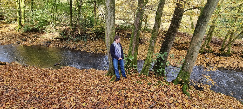 Der Eifgenbach in herbstlicher Stimmung. Naturpur Gudula Burghoff am Baum am Bach stehend.