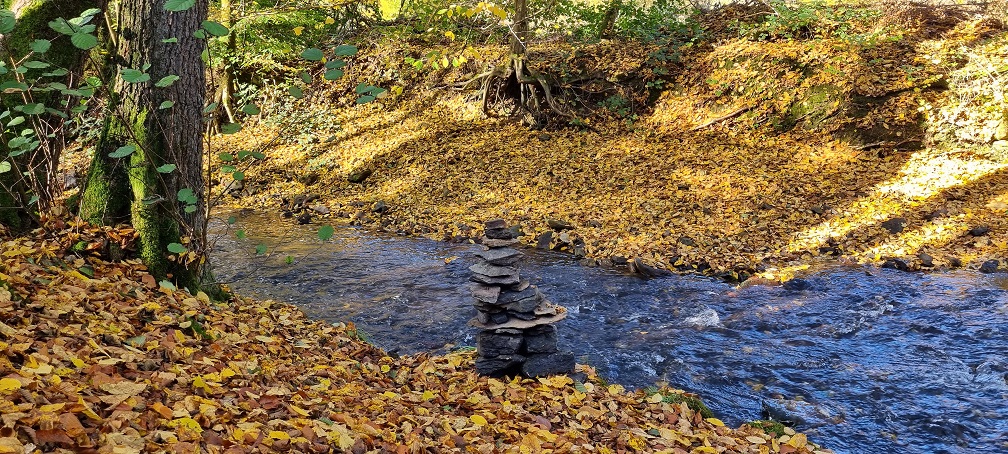 Der Eifgenbach in herbstlicher Stimmung Naturpur Gudula Burghoff